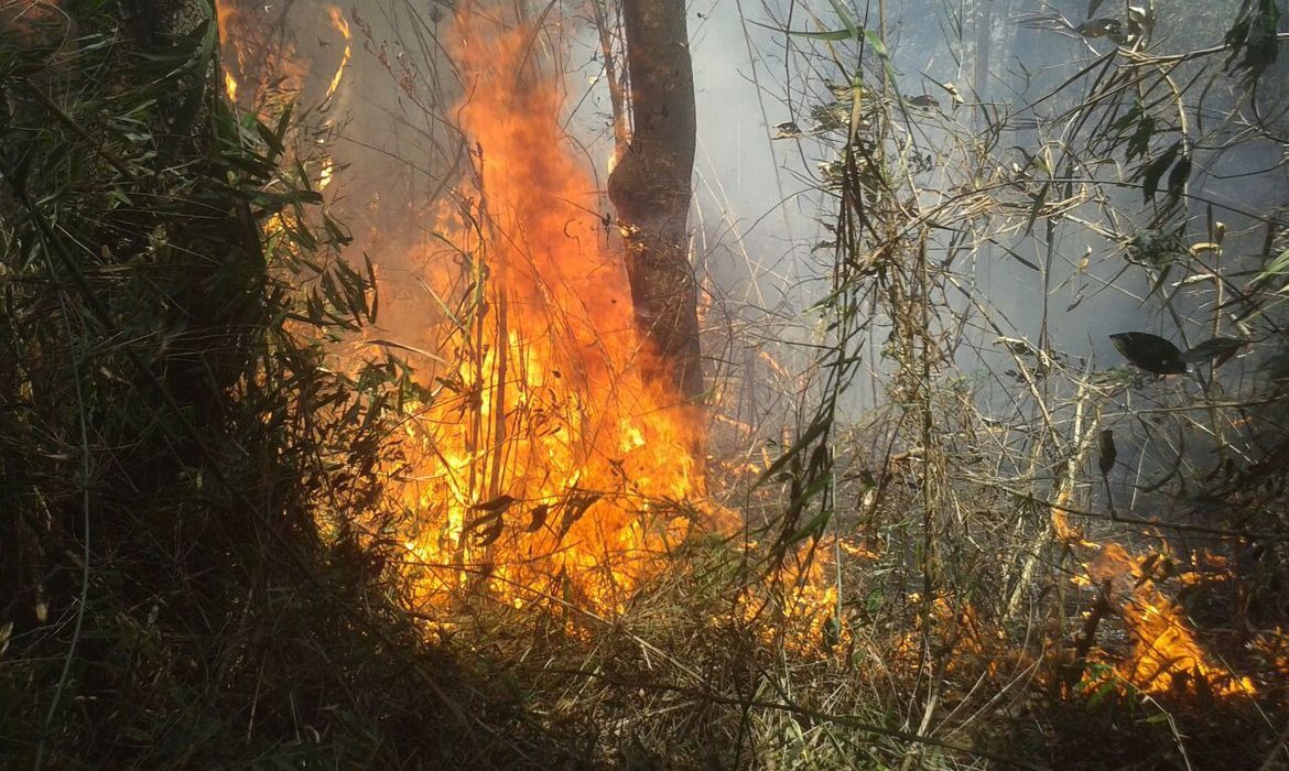 Bombeiros combatem há dois dias incêndio na Serra dos Órgãos © Divulgação/Parnaso/Todos Direitos Reservados