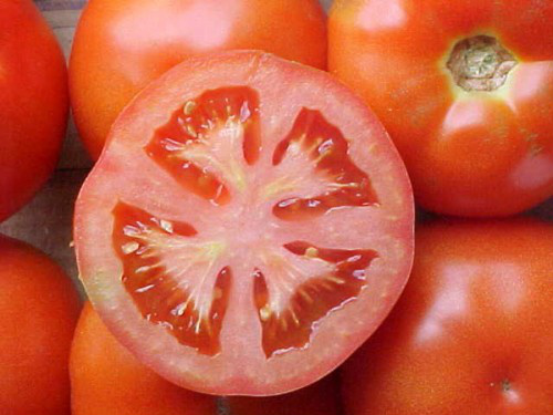 Tomate aumenta cerca de 220% e inflaciona a salada, segundo a FGV Tomate aumenta cerca de 220% e inflaciona a salada, segundo a FGV