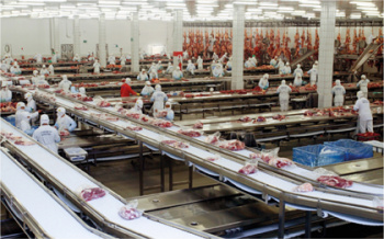 Iagro estabelece normas para cadastro de frigoríficos do Estado Iagro estabelece normas para cadastro de frigoríficos do Estado