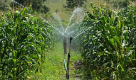 Site incentiva uso mais eficiente de água para agricultura