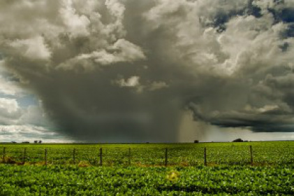 Especialista vai discutir em MS ‘El Niño’ forte e favorável a agricultura