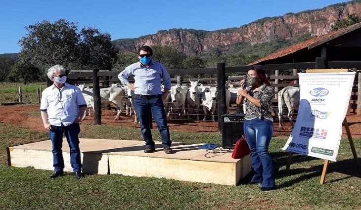 Leilão de bovinos realizado pela SAD supera meta e arrecada R$ 106 mil Foto: Divulgação