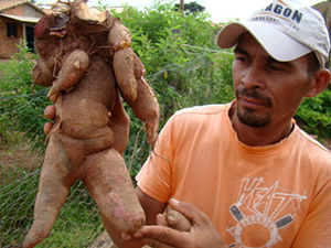 Eletricista diz ter ficado surpreendido com a colheita(Foto: Rádio Eldorado FM/Rafel Trindade)