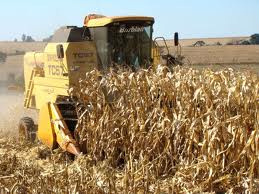 Cotação Milho em grão Sc 60Kg 16/08/2011