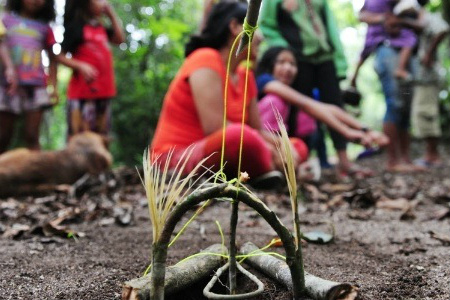 Crianças observam educador preparar armadilha durante aula no CECI Krukutu, em SP