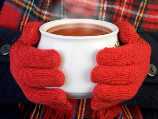 Temperatura amena e previsão de frio marca início do outono Temperatura amena e previsão de frio marca início do outono