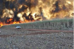 Incêndio consome plantação de cana em fazenda de Mato Grosso do Sul Incêndio destruiu parte de plantação de cana em Chapadão do Sul