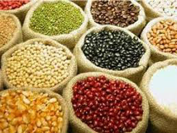 Agropecuária cresce 3,6% no primeiro trimestre e impulsiona o PIB do Brasil