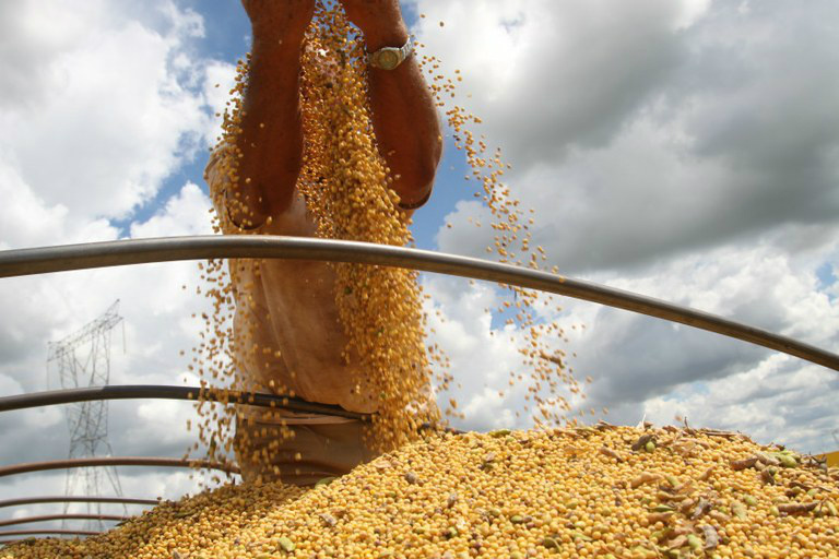 Estados Unidos, Brasil e Argentina respondem por 87% das exportações globais do grão/Foto:Divulgação