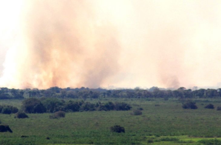 Bombeiros intensificam combate a dois grandes incêndios no Pantanal de Corumbá Foto: divulgação