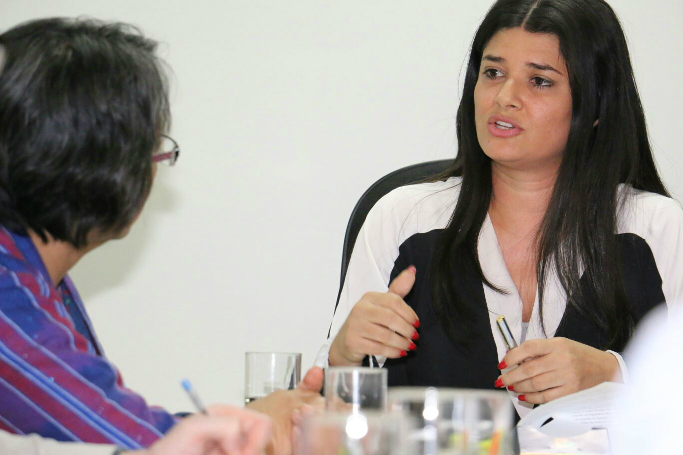 Vice-governadora e secretária, Rose Modesto, ao descrever situação atual indígena e de conflitos de terras à relatora especial da ONU