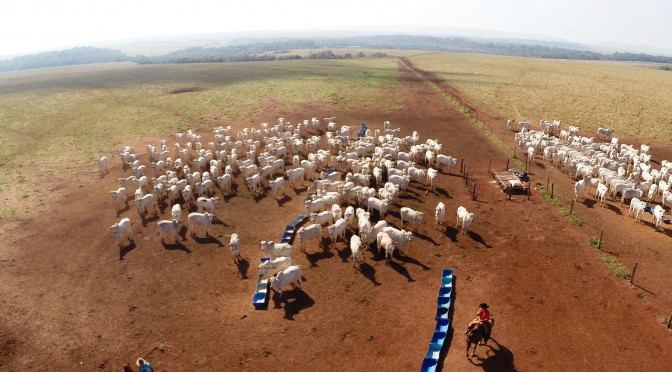 Terra Boa: Produtor já pode cadastrar propriedade e projeto Terra Boa: Produtor já pode cadastrar propriedade e projeto