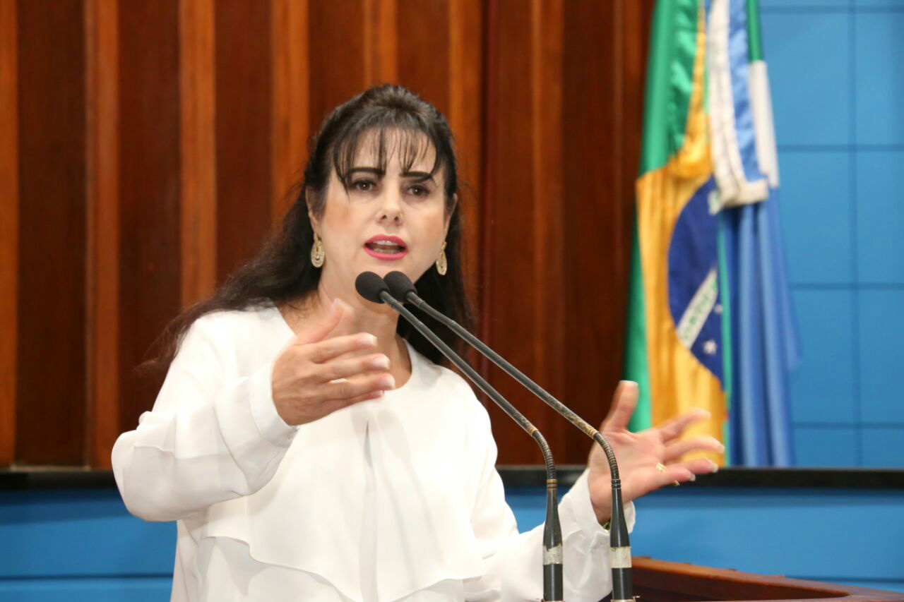 Projeto cria programa de prevenção e combate ao jogo da "Baleia Azul" Deputada Mara Caseiro (PSDB)Foto: Divulgação