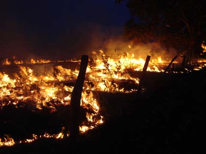 Corpo de Bombeiros de MS faz alerta para o aumento de incêndios urbanos Divulgação: Bombeiros