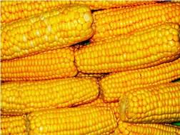 Mais de 15 produtos recebem descontos em programa de garantia de preços