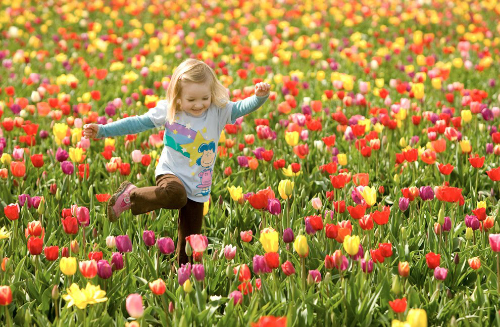 22 de Setembro - Início da Primavera Foto/Divulgação