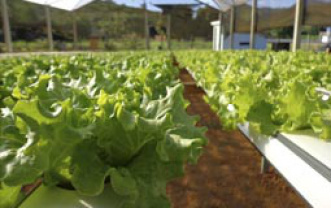 A criação da Agência representa um importante avanço para aproximação da pesquisa agropecuária e assistência técnica e extensão rural