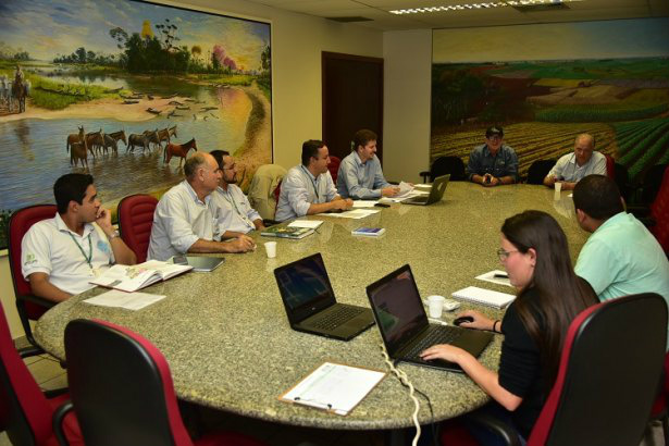 Mercado de eucaliptocultura é tema de painel realizado em MS Foto: Divulgação