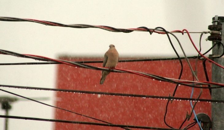 Foto: Edemir Rodrigues