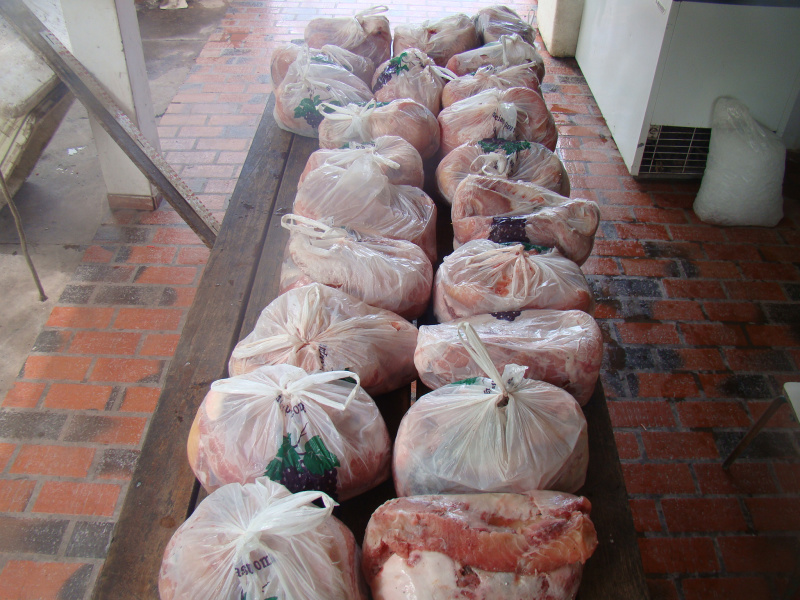 PMA e PF prendem idosa com 90 kg de filé de peixe capturado em piracema