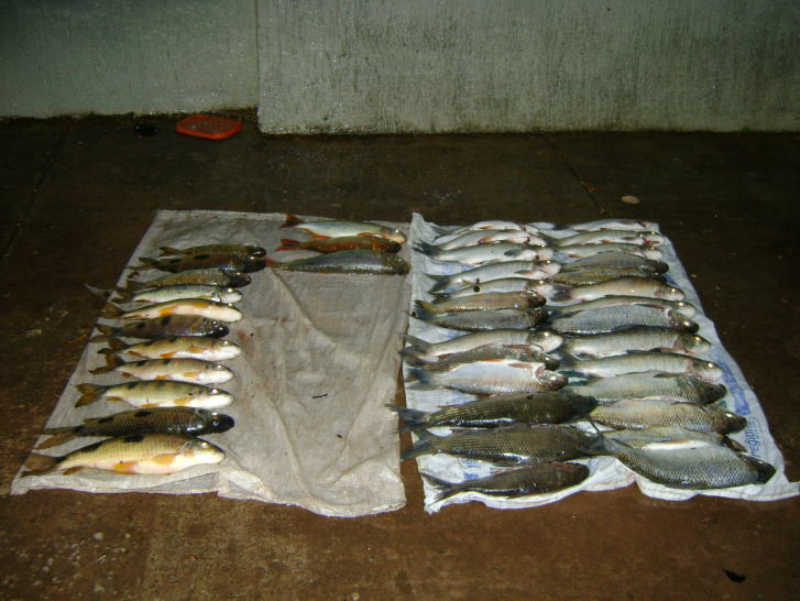 PMA prende jovem em flagrante por pesca predatória em Rio Negro