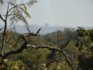 CNA estima redução de 48 milhões de hectares de área agricultável CNA estima redução de 48 milhões de hectares de área agricultável