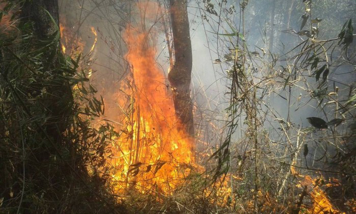 Chuva diminui incêndio no Parque Nacional da Serra dos Órgãos