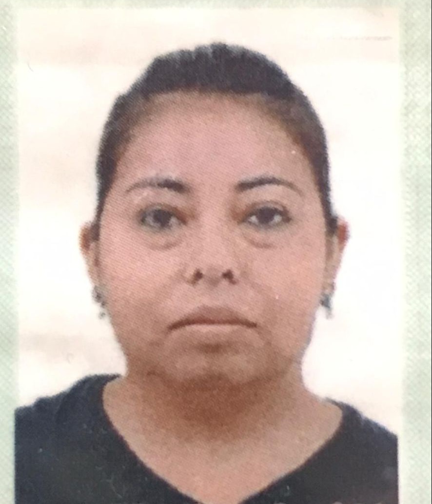 Foto:Divulgação