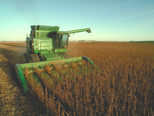 Excesso de chuvas atrapalhou os planos de muitos agricultores. Plantio teve área 2,8% menor em relação ao ciclo passado.