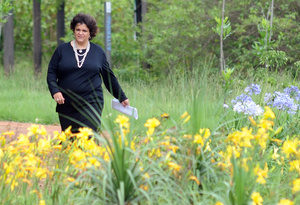 Inventário sobre florestas é mais um avanço na política de meio ambiente, diz ministra Inventário sobre florestas é mais um avanço na política de meio ambiente, diz ministra