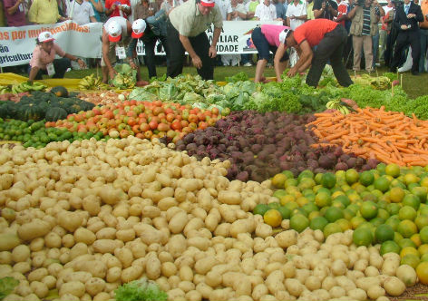 Dilma destaca investimento recorde na agricultura familiar em 2014/2015