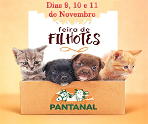 1ª Feira de animais acontece nesta semana em Amambai 1ª Feira de animais acontece nesta semana em Amambai