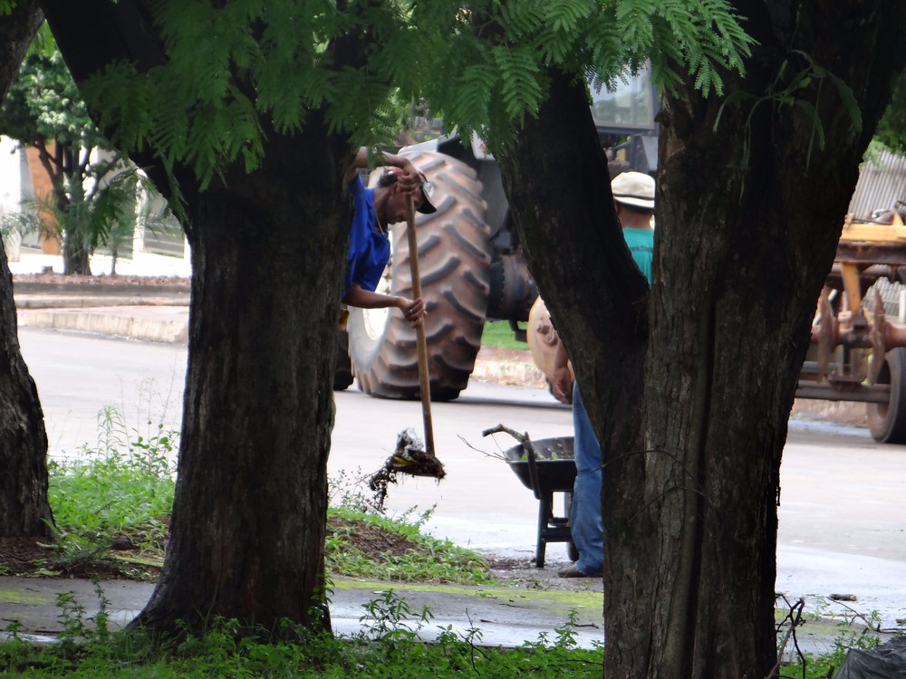 Imagem da Semana: após chuvas, boeiros de Amambai necessitaram de limpeza