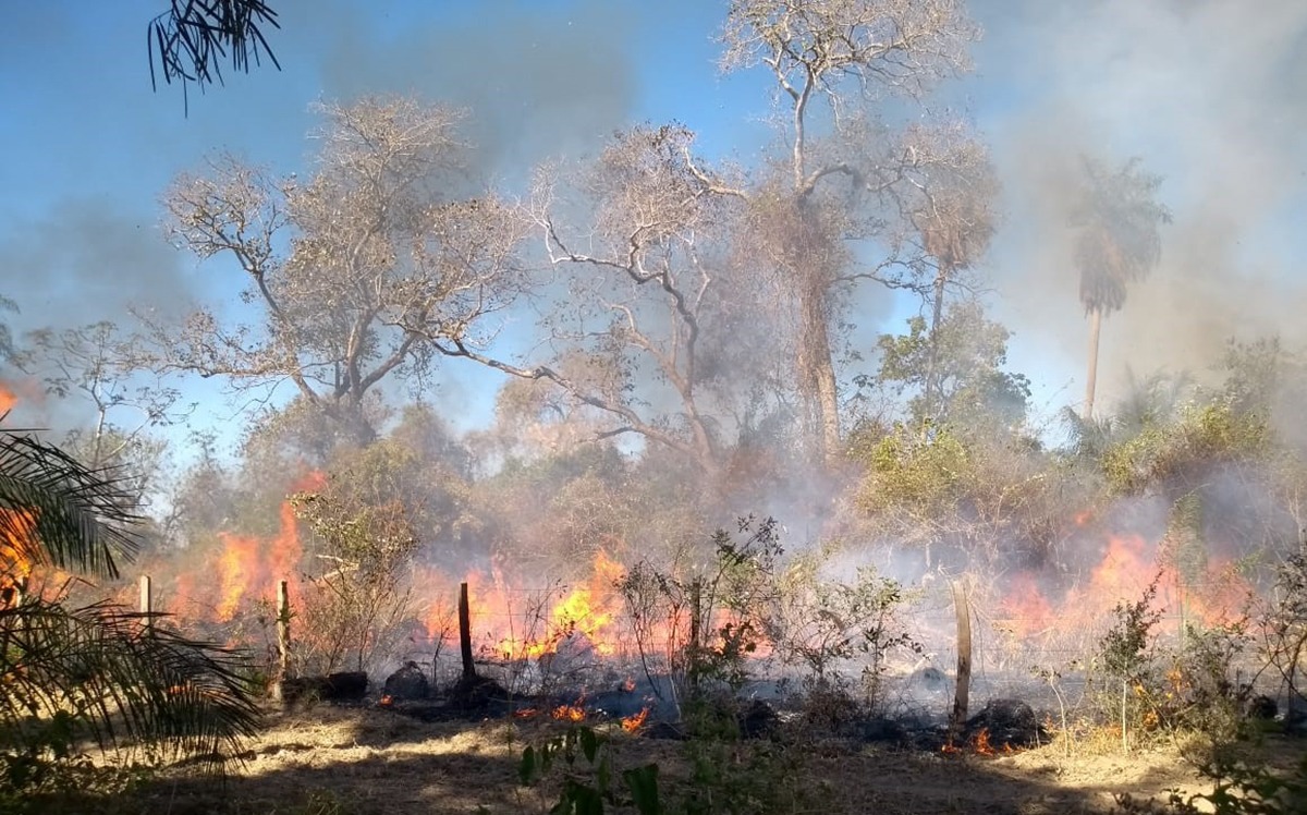 Incêndios florestais atingem Estrada-Parque, onde ponte de madeira virou cinzas Incêndio de grandes proporções, controlado pelos bombeiros e peões, atingiu três fazendas na Nhecolândia (Foto: Divulgação)