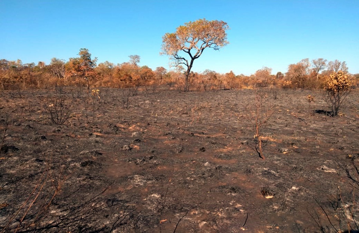 Incêndios florestais atingem Estrada-Parque, onde ponte de madeira virou cinzas Fogo arrasou várias invernadas da Fazenda Itá, na região do Taquari, queimando 1.600 hectares de pastagem (Foto: Divulgação)
