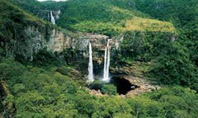 Comitê vai buscar estratégias para reduzir desmatamento no Cerrado