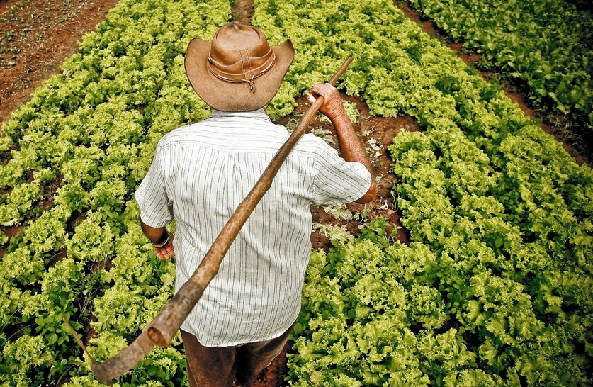 Agricultores recebem R$ 13 milhões de programa federal