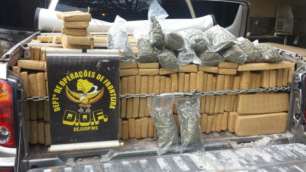 Os policiais contabilizaram 1602 tabletes / Foto: DOF