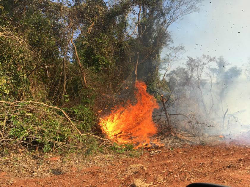 PMA autua proprietário rural em R$ 90 mil por desmatamento e incêndio florestal