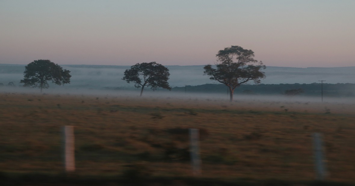 Meteorologia prevê frio e geada para o fim de semana Meteorologia prevê frio e geada para o fim de semana