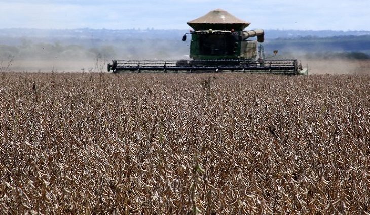 MS tem a 5ª maior produção de grãos do país, com 19,9 milhões de toneladas Foto: Edemir Rodrigues