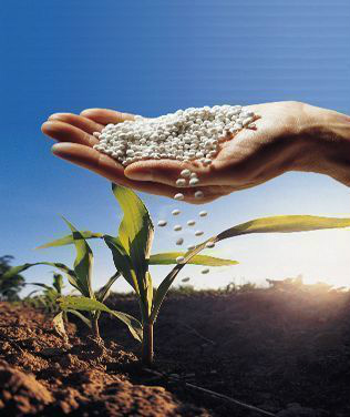 Diferentes comportamentos do custo de produção dos insumos em fevereiro