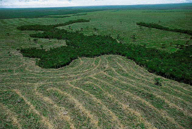 Diário Oficial publica vetos e MPs referentes ao novo Código Florestal Diário Oficial publica vetos e MPs referentes ao novo Código Florestal