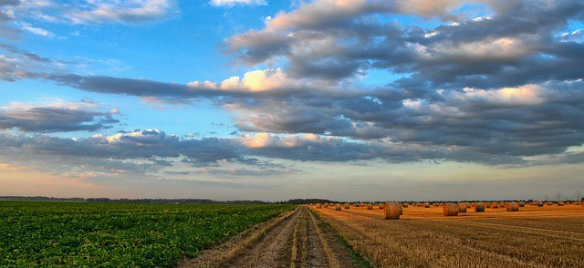 Pesquisa avalia evolução da agricultura mundial nos últimos 60 anos