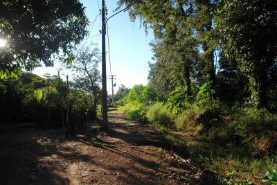 Jaime Bambil cobra manutenção da rua Rubem Chaparro de Oliveira, em Amambai Matagal tomou conta da rua Rubem Chaparro de Oliveira, na vila Orlando ViolFoto: Moreira Produções