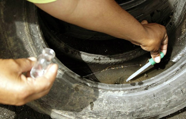 Força-tarefa para erradicar aedes aegypti chega a Vila Limeira nesta quarta (26) Trabalho de prevenção é o melhor remédio para evitar casos de dengue, entre outras doenças / Foto: Divulgação
