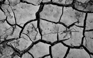 Situação de Emergência é decretada em 58 Municípios em decorrência da seca Situação de Emergência é decretada em 58 Municípios em decorrência da seca