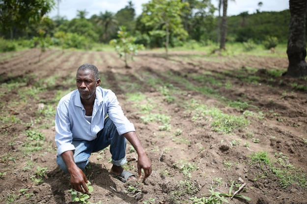 FAO e Brasil fecham novo acordo de cooperação para aumentar inclusão social A parceria quer também promover o desenvolvimento rural sustentável e diminuir as desigualdades no campo. Foto: Banco Mundial/Dominic Chavez