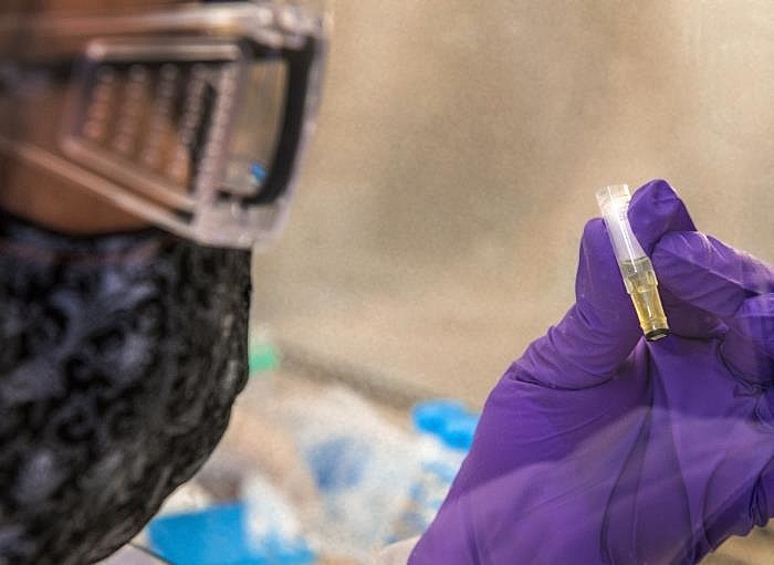 Preparação de amostra para teste da covid-19 - CDC/ James Gathany