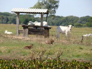 A reunião desta segunda estabelecerá a validação final do projeto resultado de oito anos de estudo e pesquisa.